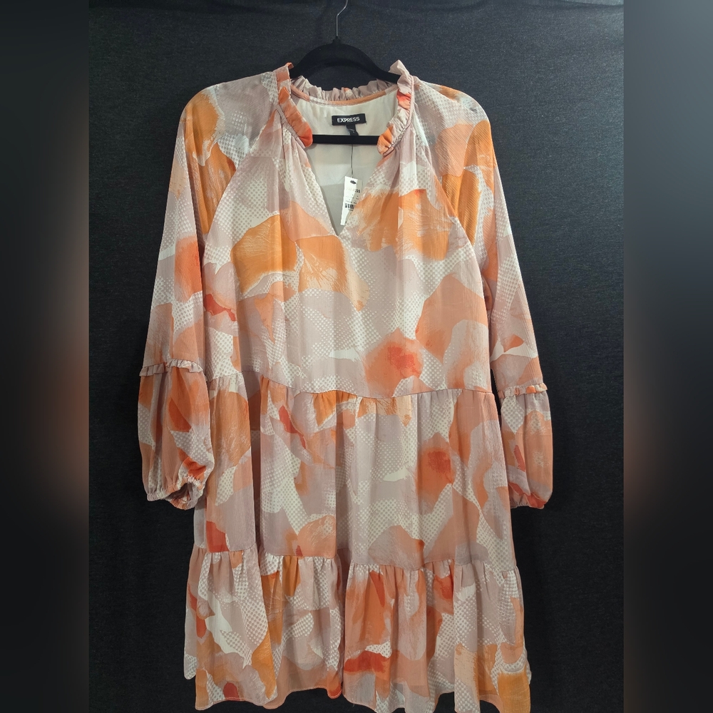 Express Shift Dress